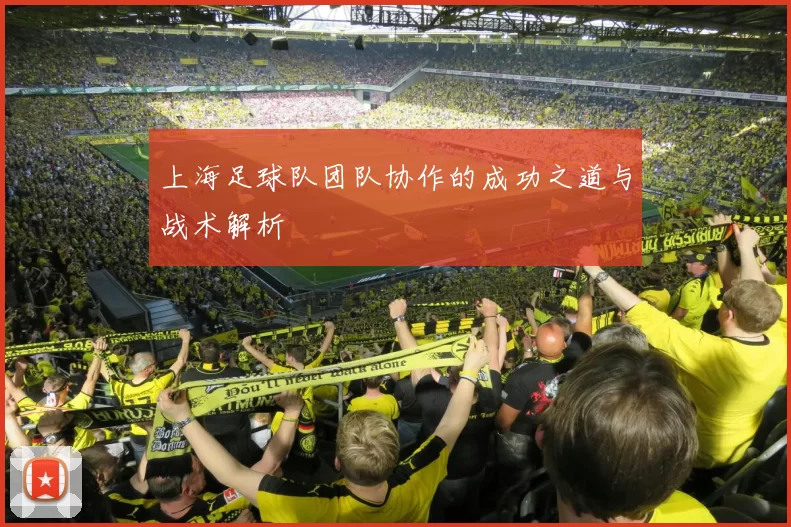 上海足球队团队协作的成功之道与战术解析