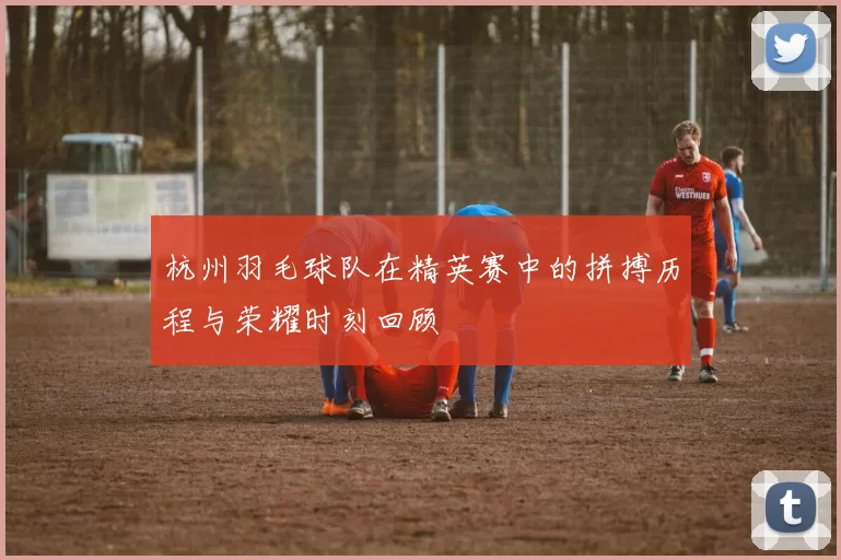 杭州羽毛球队在精英赛中的拼搏历程与荣耀时刻回顾
