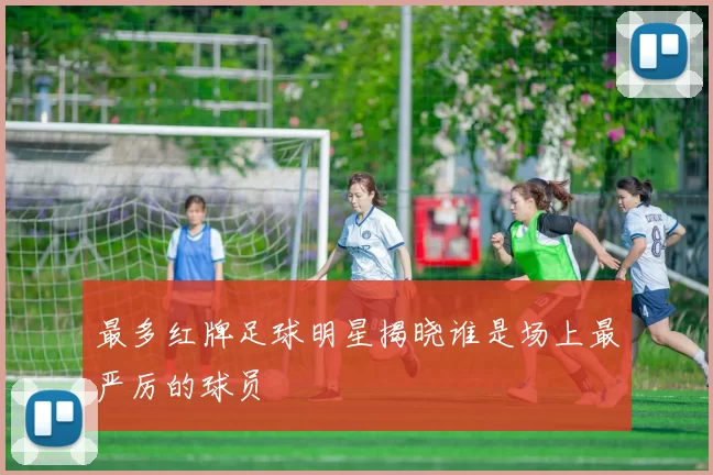 最多红牌足球明星揭晓谁是场上最严厉的球员