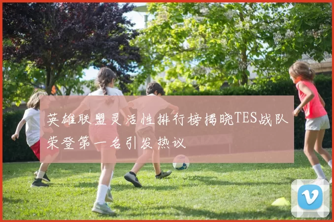 英雄联盟灵活性排行榜揭晓TES战队荣登第一名引发热议