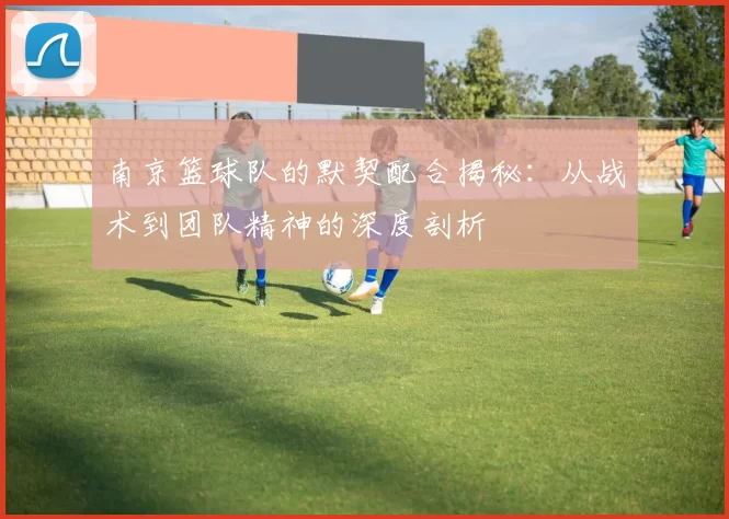 南京篮球队的默契配合揭秘：从战术到团队精神的深度剖析