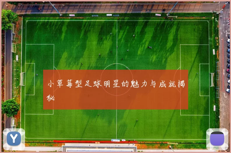 小草莓型足球明星的魅力与成就揭秘